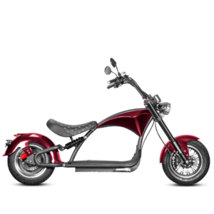 Gotscooters Electric Scooters